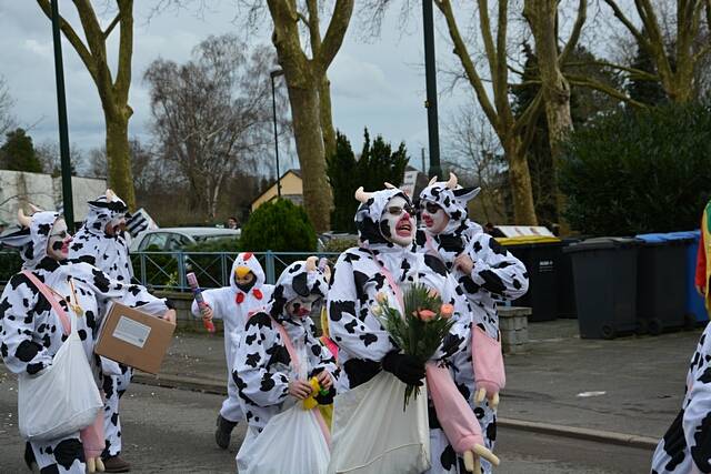 Karnevalszug 2016 - Bilder aus Bergerhausen