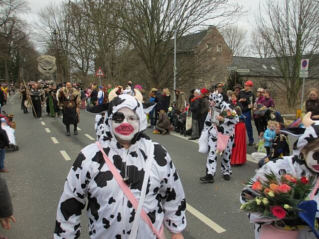 Karnevalszug 2016 - Bilder an der Kommandeursburg