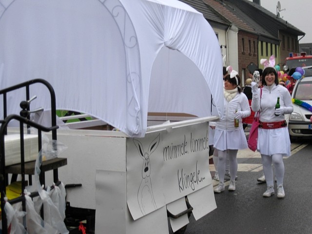 Karnevalszug 2009