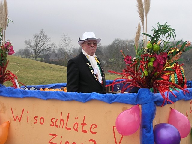 Karnevalszug 2009