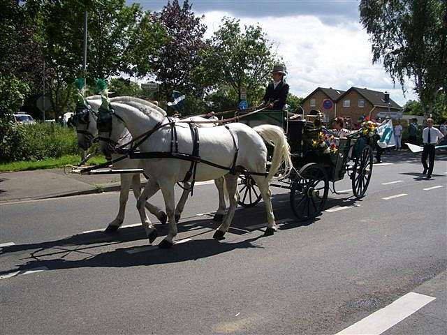 Schtzenfest 2007