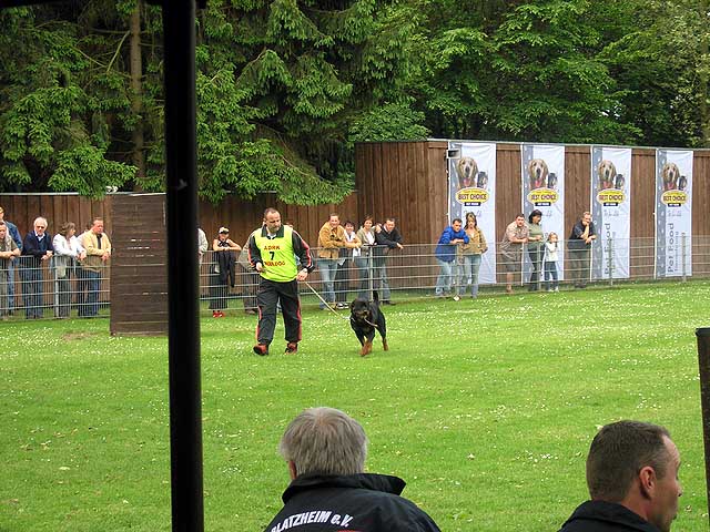 Frhjahrskrung der Rottweiler 2005