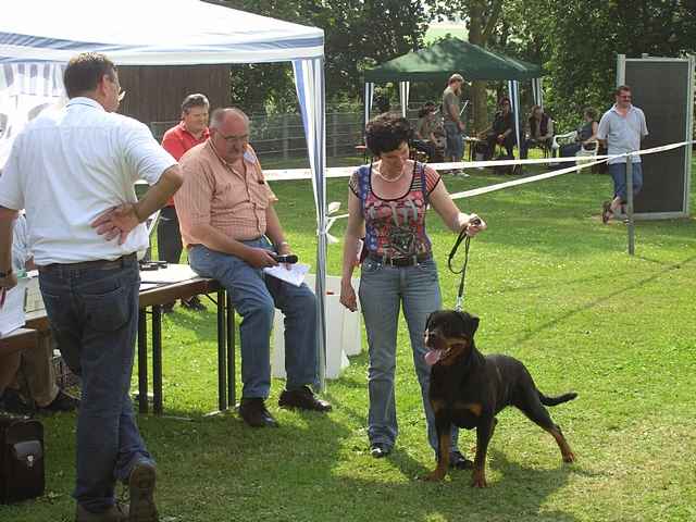 Eifelschau 2009