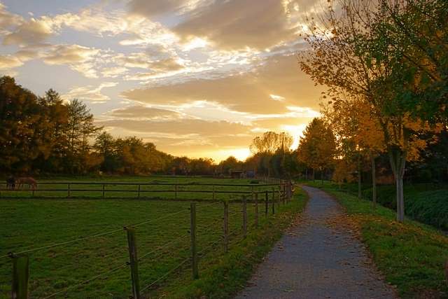 Herbst am Neffelbach