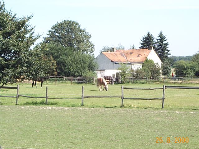 Tierische Einwohner