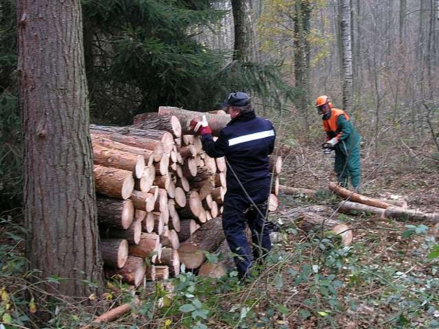 Sge-Lehrgang