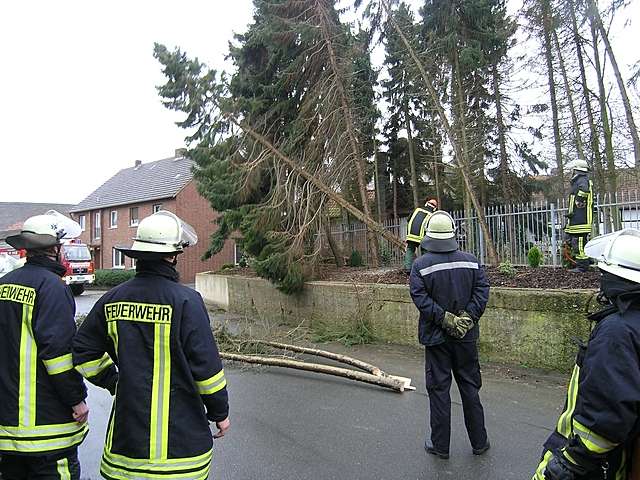 Baum blockierte Dorfstrae