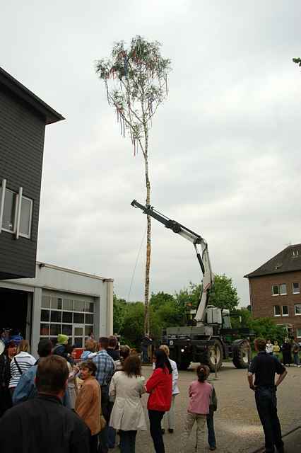 Maibaum der Feuerwehr