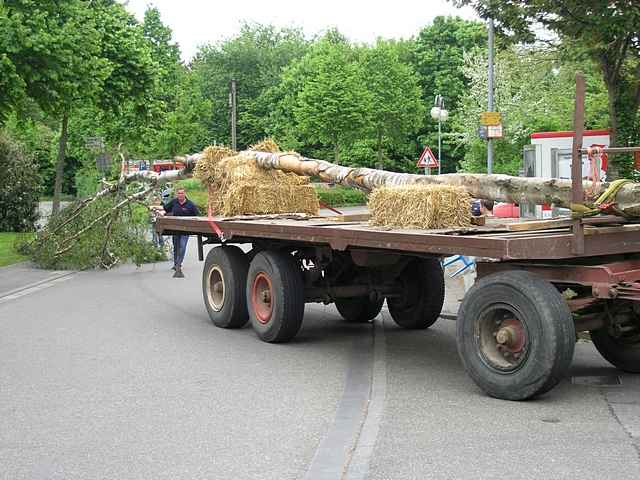 Maibaum der Feuerwehr