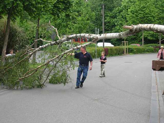 Maibaum der Feuerwehr