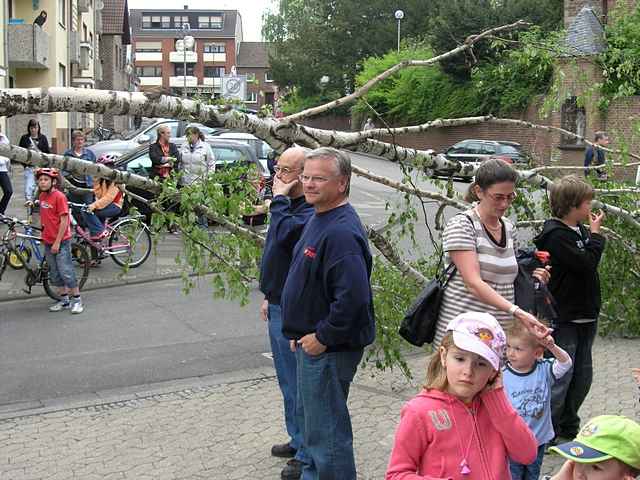 Maibaum der Feuerwehr