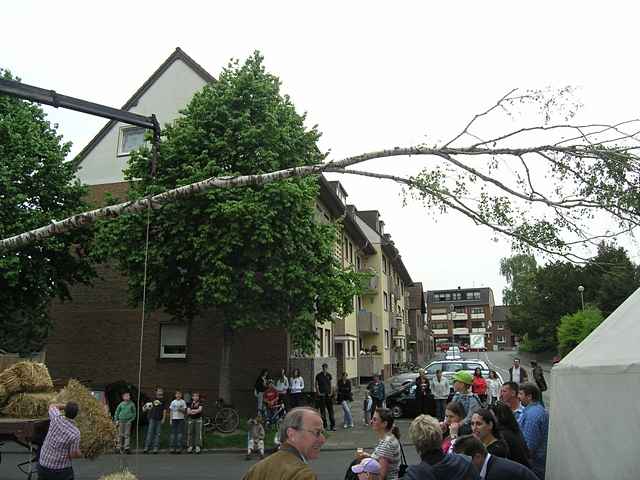 Maibaum der Feuerwehr