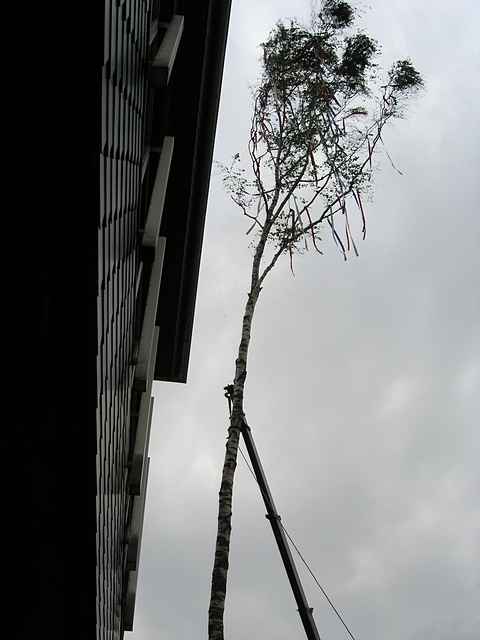 Maibaum der Feuerwehr