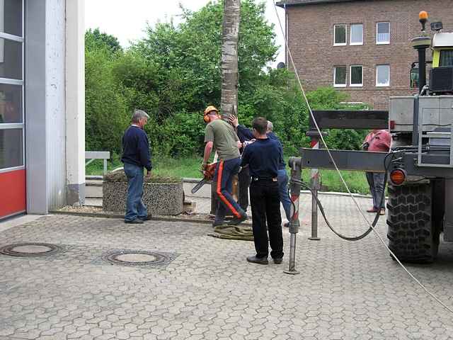 Maibaum der Feuerwehr