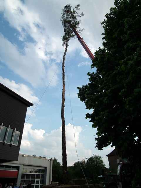 Maibaum der Feuerwehr