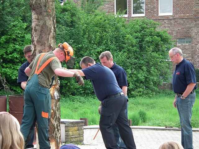 Maibaum der Feuerwehr