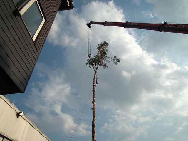 Maibaum der Feuerwehr