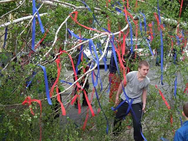 Maibaum der Feuerwehr