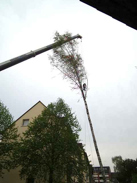 Maibaum der Feuerwehr