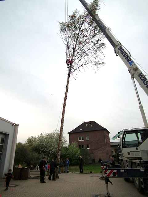 Maibaum der Feuerwehr