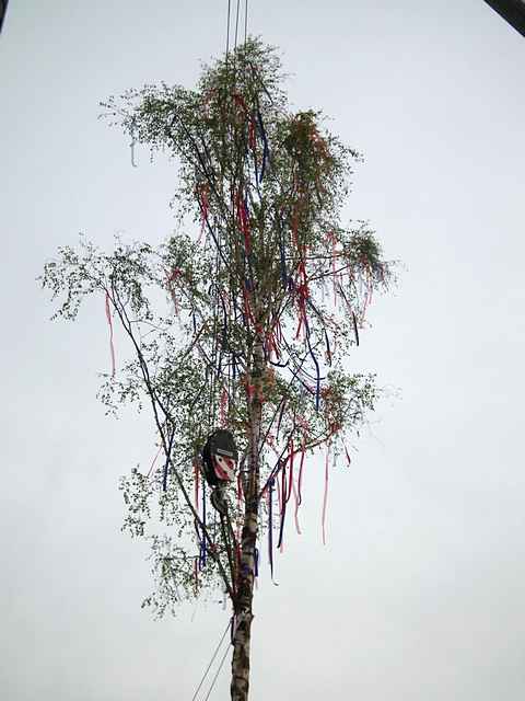 Maibaum der Feuerwehr