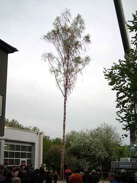 Maibaum der Feuerwehr