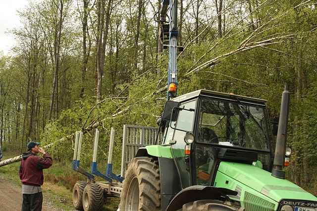 Maibaum der Feuerwehr