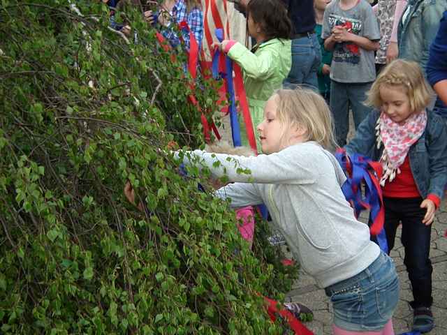 Maibaum der Feuerwehr