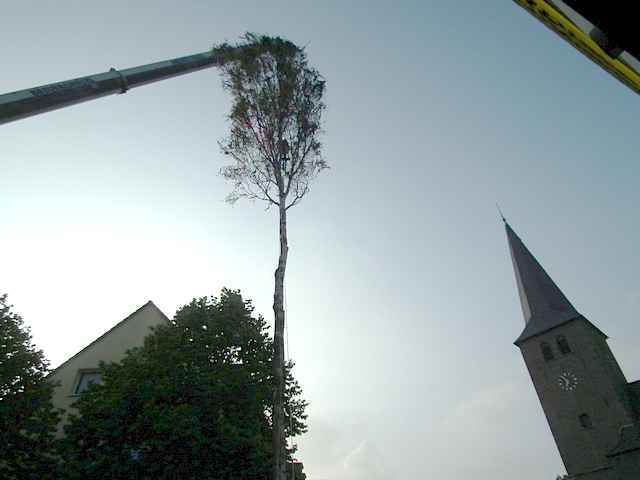 Maibaum der Feuerwehr