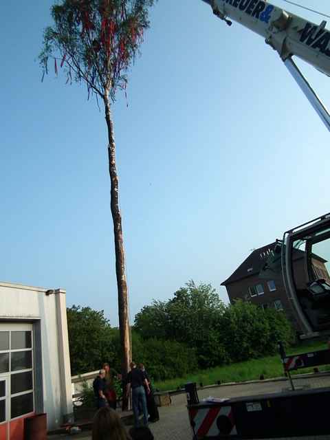 Maibaum der Feuerwehr