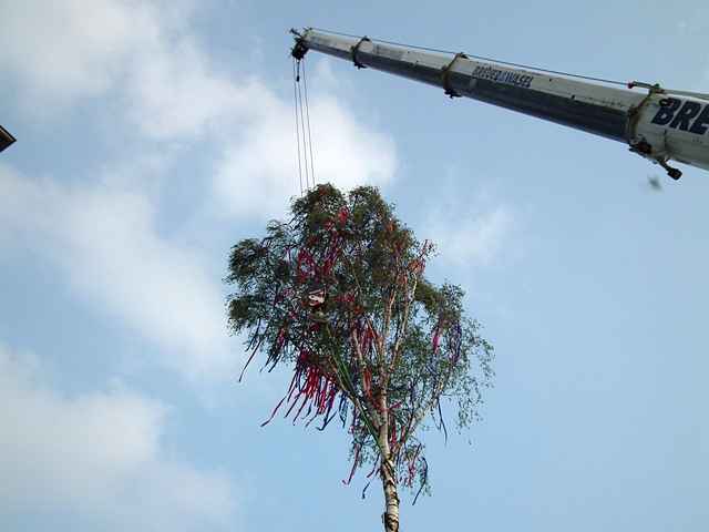 Maibaum der Feuerwehr