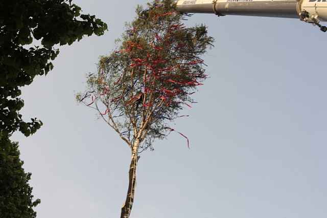 Maibaum der Feuerwehr