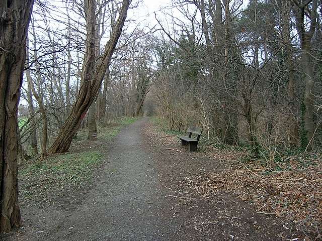 Fichtenwldchen vorher