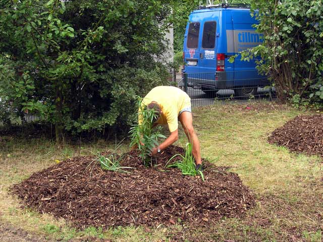 75 Jahre Gartenbauverein