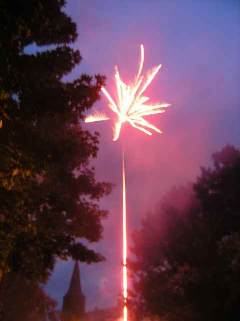 80 Jahre Gartenbauverein