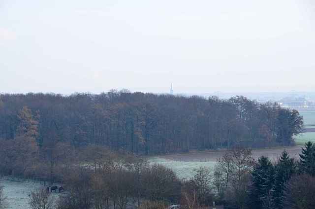 Bilder vom Glockenturm