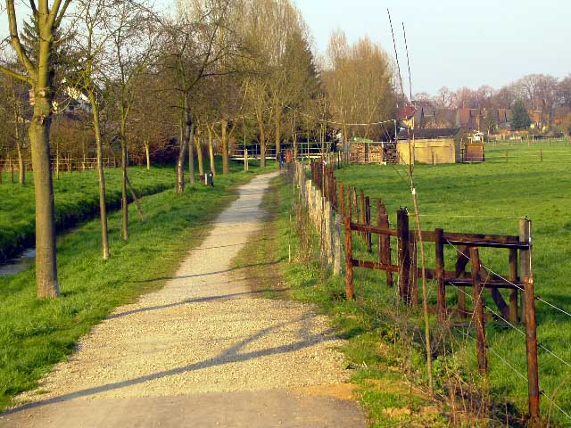 Radweg am Neffelbach