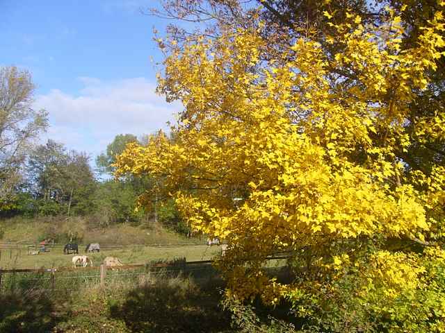 Herbst 2009