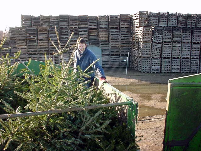 JU-Weihnachtsbaumsammlung