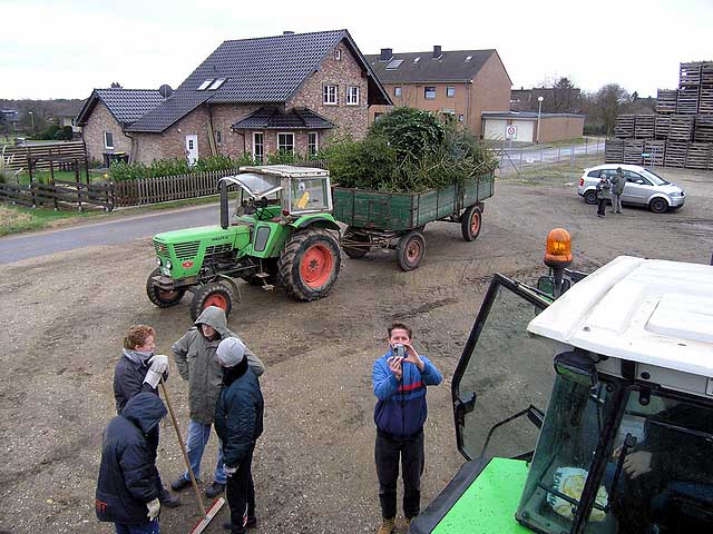 Weihnachtsbaum-Sammlung 2005