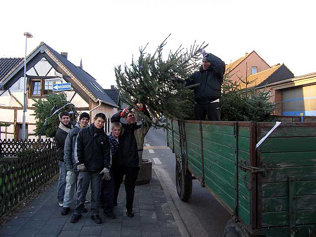 Weihnachtsbaum-Sammlung 2005