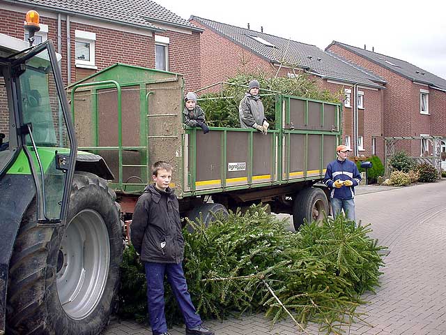 Weihnachtsbaum-Sammlung 2005