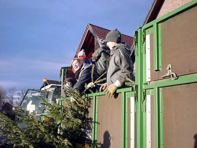 Weihnachtsbaum-Sammlung 2005