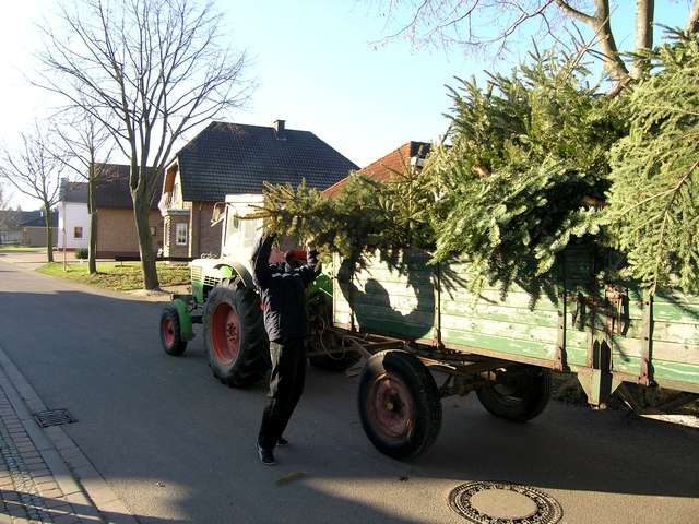 Weihnachtsbaum-Sammlung 2006