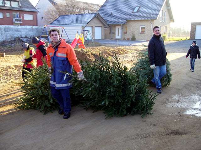 Weihnachtsbaum-Sammlung 2006