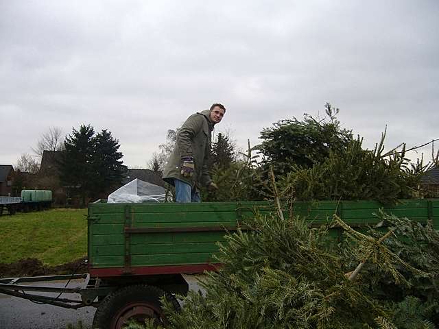 Weihnachtsbaum-Sammlung 2007