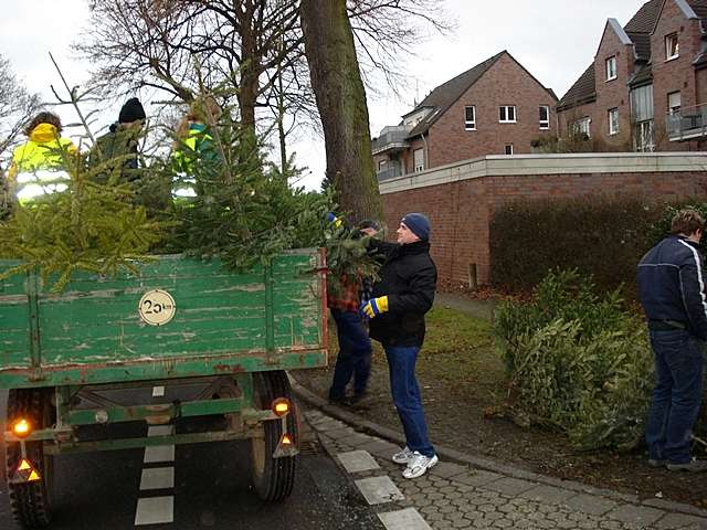 Weihnachtsbaum-Sammlung 2007