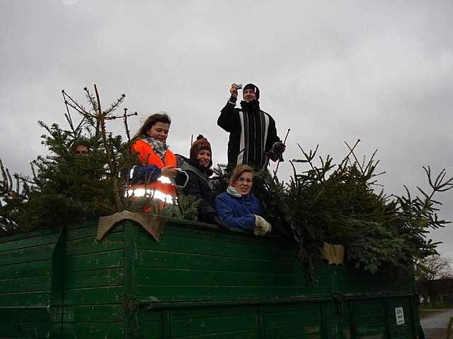 Weihnachtsbaum-Sammlung 2007