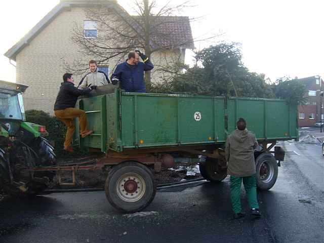 Weihnachtsbaum-Sammlung 2011