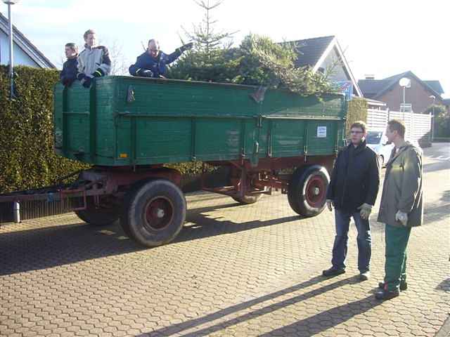 Weihnachtsbaum-Sammlung 2011